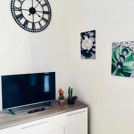 Maiden-art 阿罗纳